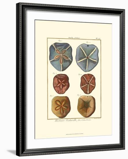 Sand Dollars I-Diderot-Framed Art Print