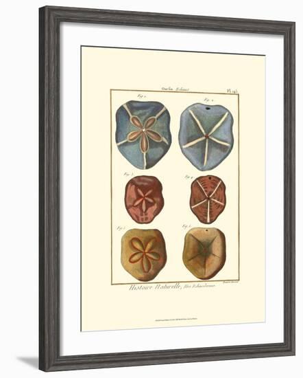 Sand Dollars I-Diderot-Framed Art Print