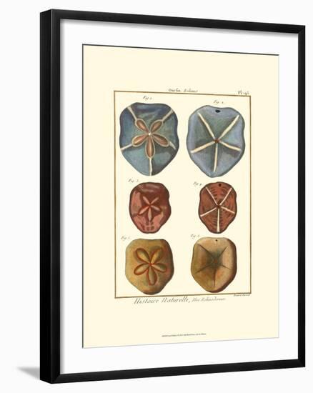 Sand Dollars I-Diderot-Framed Art Print