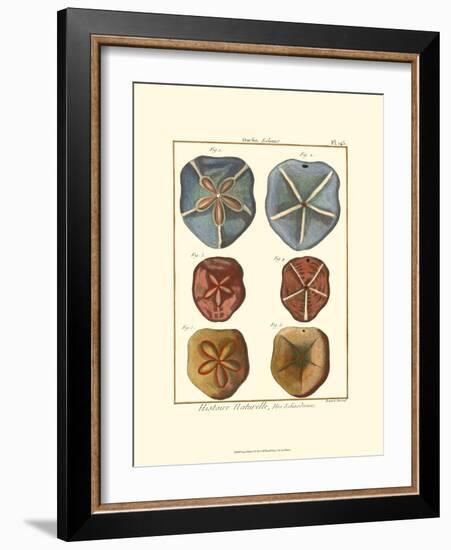 Sand Dollars I-Diderot-Framed Art Print