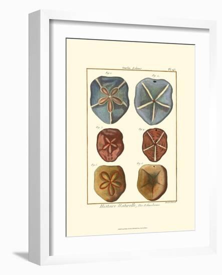 Sand Dollars I-Diderot-Framed Art Print