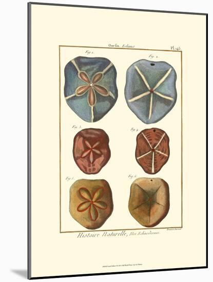 Sand Dollars I-Diderot-Mounted Art Print