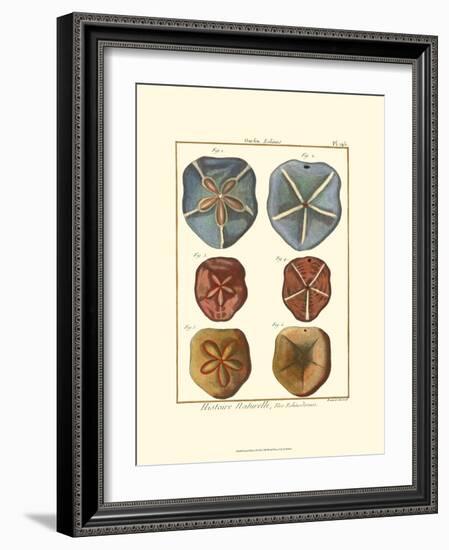 Sand Dollars I-Diderot-Framed Art Print