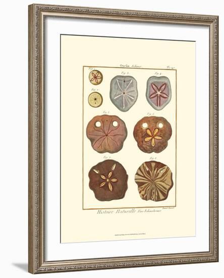 Sand Dollars II-Diderot-Framed Art Print