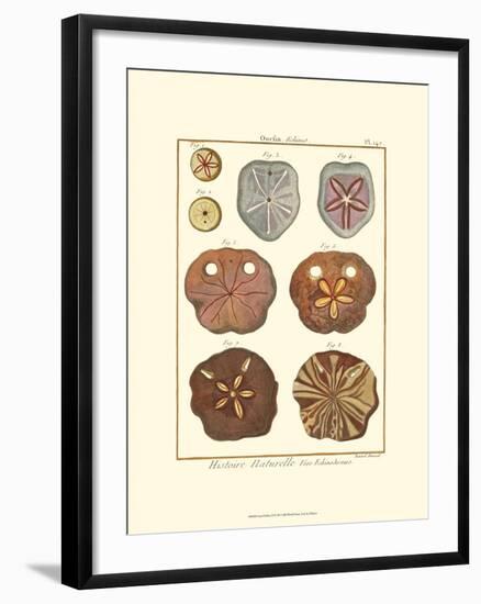 Sand Dollars II-Diderot-Framed Art Print