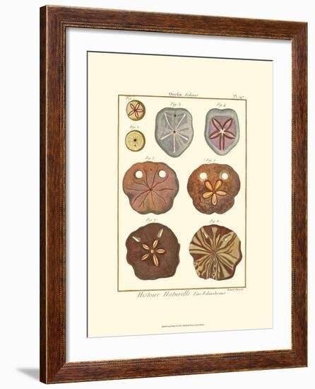 Sand Dollars II-Diderot-Framed Art Print