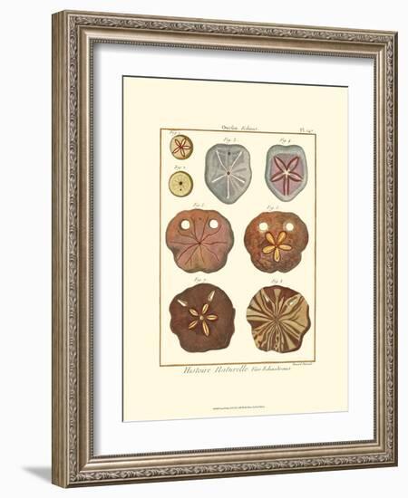 Sand Dollars II-Diderot-Framed Art Print