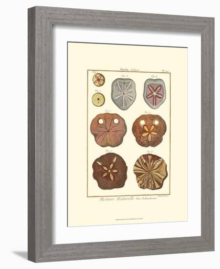 Sand Dollars II-Diderot-Framed Art Print