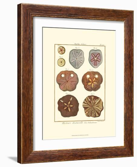 Sand Dollars II-Diderot-Framed Art Print