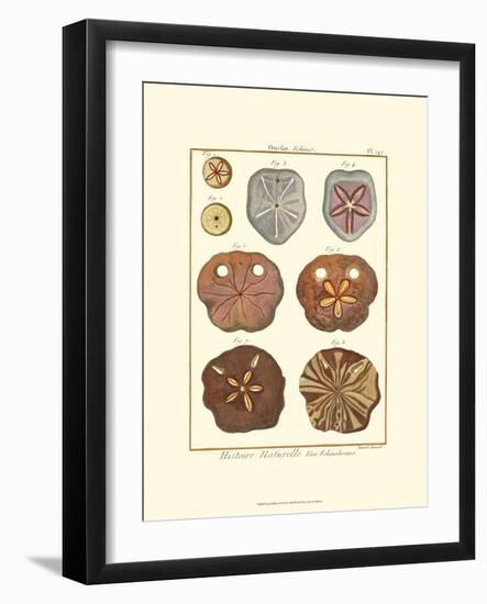 Sand Dollars II-Diderot-Framed Art Print