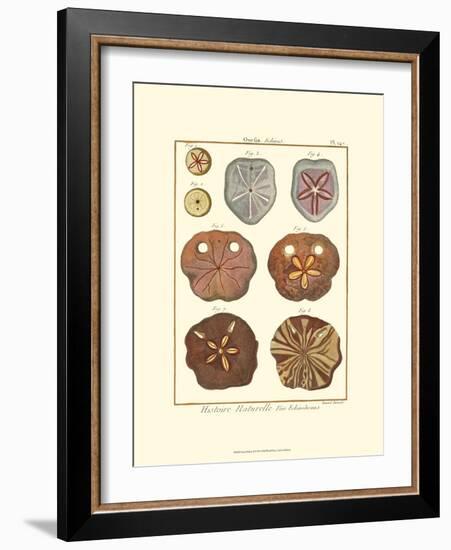 Sand Dollars II-Diderot-Framed Art Print