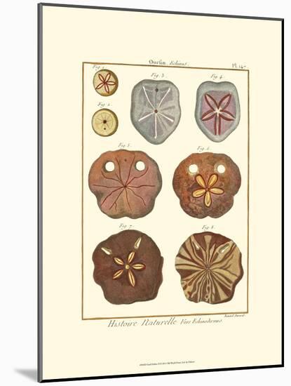 Sand Dollars II-Diderot-Mounted Art Print