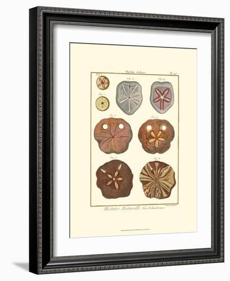 Sand Dollars II-Diderot-Framed Art Print