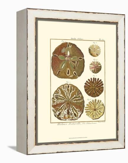 Sand Dollars III-Diderot-Framed Stretched Canvas