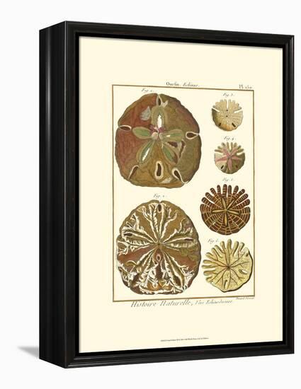 Sand Dollars III-Diderot-Framed Stretched Canvas