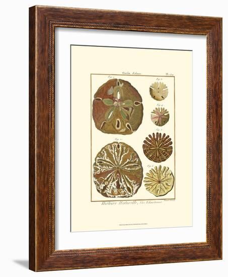 Sand Dollars III-Diderot-Framed Art Print