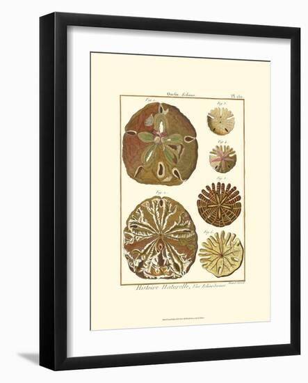 Sand Dollars III-Diderot-Framed Art Print