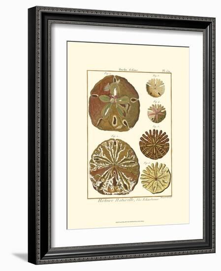 Sand Dollars III-Diderot-Framed Art Print