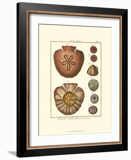 Sand Dollars IV-Diderot-Framed Art Print