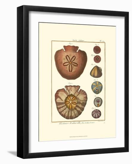 Sand Dollars IV-Diderot-Framed Art Print