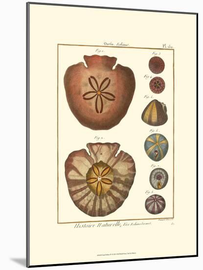 Sand Dollars IV-Diderot-Mounted Art Print