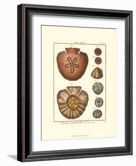 Sand Dollars IV-Diderot-Framed Art Print