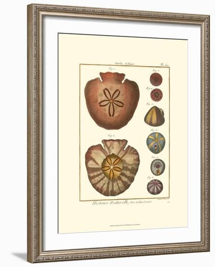 Sand Dollars IV-Diderot-Framed Art Print