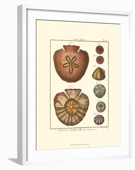 Sand Dollars IV-Diderot-Framed Art Print