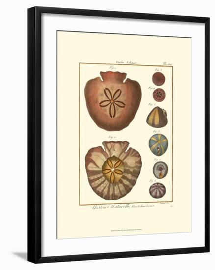 Sand Dollars IV-Diderot-Framed Art Print