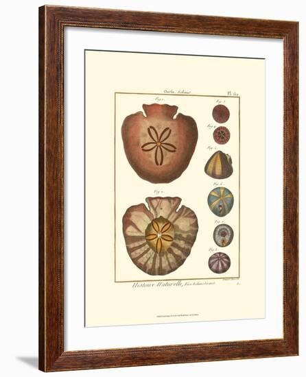 Sand Dollars IV-Diderot-Framed Art Print