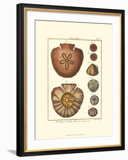 Sand Dollars IV-Diderot-Framed Art Print