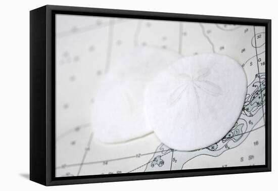 Sand dollars on nautical chart-Savanah Plank-Framed Premier Image Canvas