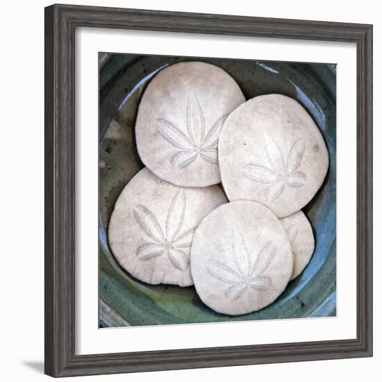 Sand Dollars-Katano Nicole-Framed Photo