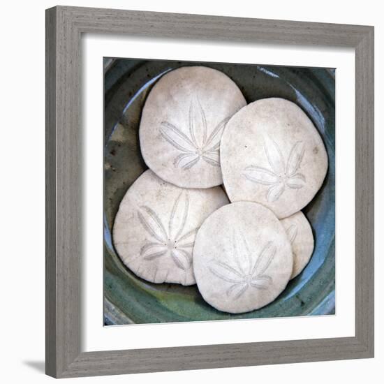 Sand Dollars-Katano Nicole-Framed Photo