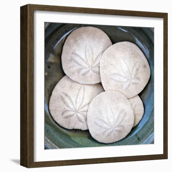 Sand Dollars-Katano Nicole-Framed Photo