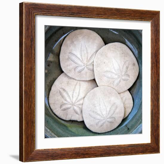 Sand Dollars-Katano Nicole-Framed Photo