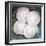 Sand Dollars-Katano Nicole-Framed Photo