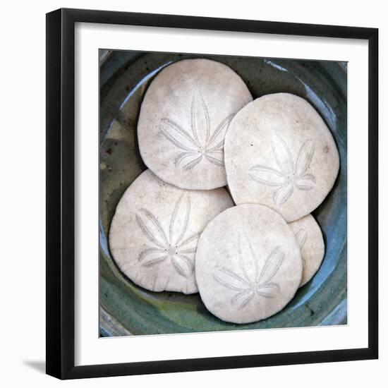 Sand Dollars-Katano Nicole-Framed Photo