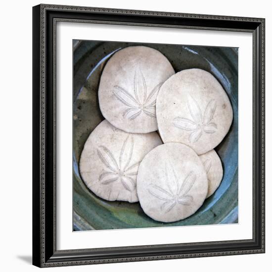 Sand Dollars-Katano Nicole-Framed Photo