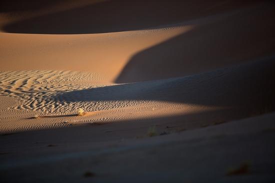 Photo, , large