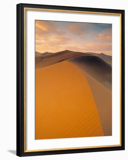 Sand Dune in Desert, Namib Desert, Namibia-Peter Adams-Framed Photographic Print