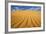 Sand Dune in the Kalahari Desert-Paul Souders-Framed Photographic Print