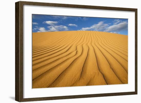 Sand Dune in the Kalahari Desert-Paul Souders-Framed Photographic Print