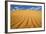 Sand Dune in the Kalahari Desert-Paul Souders-Framed Photographic Print