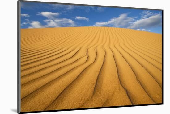 Sand Dune in the Kalahari Desert-Paul Souders-Mounted Photographic Print