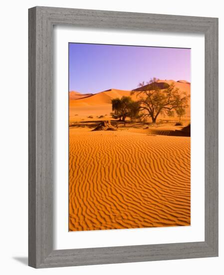 Sand Dune Landscape, Sossusvlei, Namibia World Heritage Site, Namib-Naukluft National Park, Namibia-Michele Westmorland-Framed Photographic Print