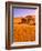 Sand Dune Landscape, Sossusvlei, Namibia World Heritage Site, Namib-Naukluft National Park, Namibia-Michele Westmorland-Framed Photographic Print