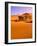 Sand Dune Landscape, Sossusvlei, Namibia World Heritage Site, Namib-Naukluft National Park, Namibia-Michele Westmorland-Framed Photographic Print