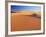 Sand Dune of the Erg Chebbi, Sahara Desert Near Merzouga, Morocco, North Africa, Africa-Lee Frost-Framed Photographic Print