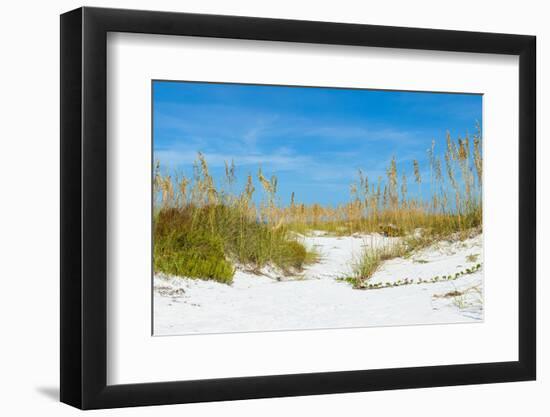 Sand Dune on the Beach, Siesta Key Beach, Siesta, Sarasota, Sarasota County, Florida, USA-null-Framed Photographic Print